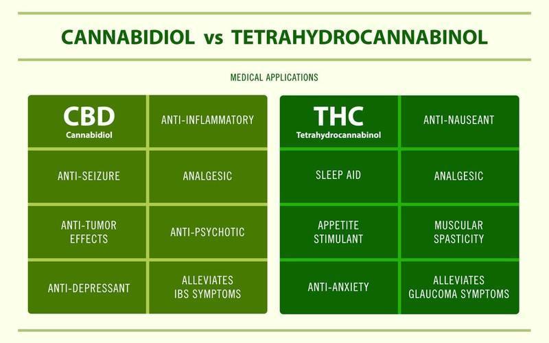 Infographic: Difference between CBD and THC