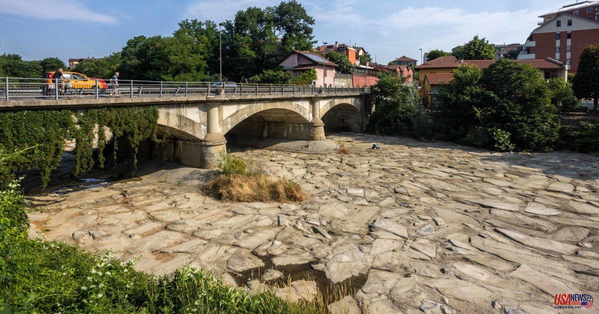 oh my god twitter doesn’t include alt text from images in their API