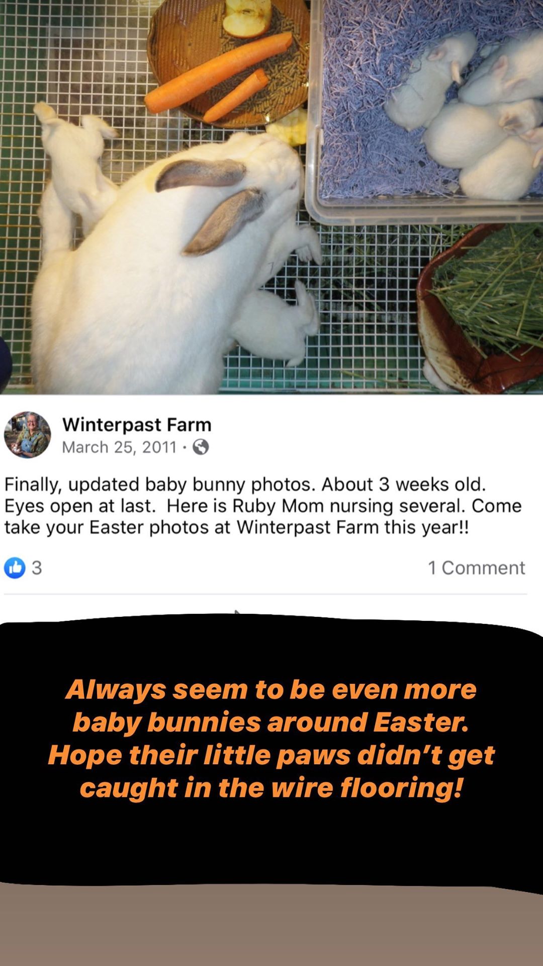 Winterpast Evidence Elvis Story