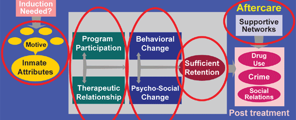 Psychological treatments for Mental Disorder in adults
