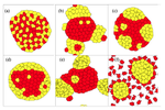 Simplified Cell Sorting