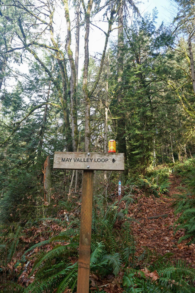 A wooden sign post for the May Valley Loop with a can of Pyramid Blazing Bright balanced on top of it. In the background we can see the trail winding up a tree covered hillside.