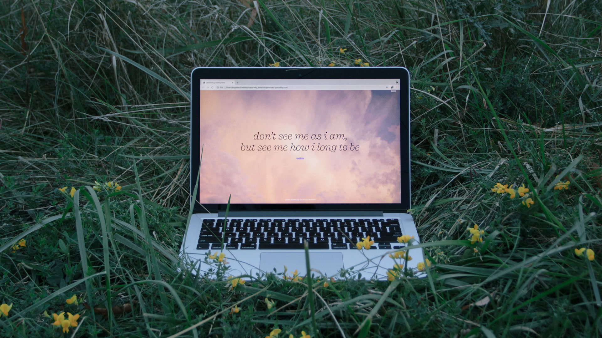 Laptop photographed in a grassy field. The screen reads: don't see me as i am, but see me how i long to be.