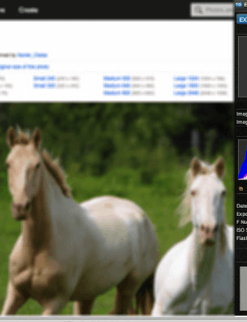 How to view image metadata directly in the browser