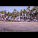 Burma Chaungtha Beaches 26