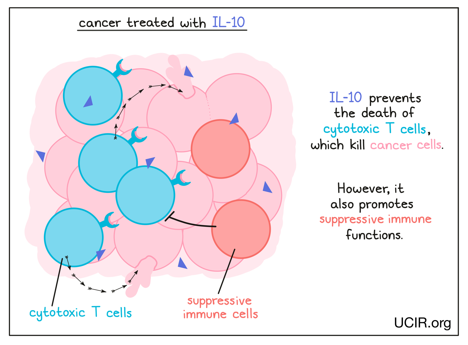Illustration showing a cancer treated with IL-10