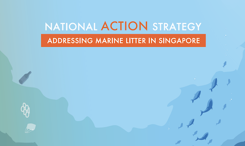 National Action Strategy on Marine Litter