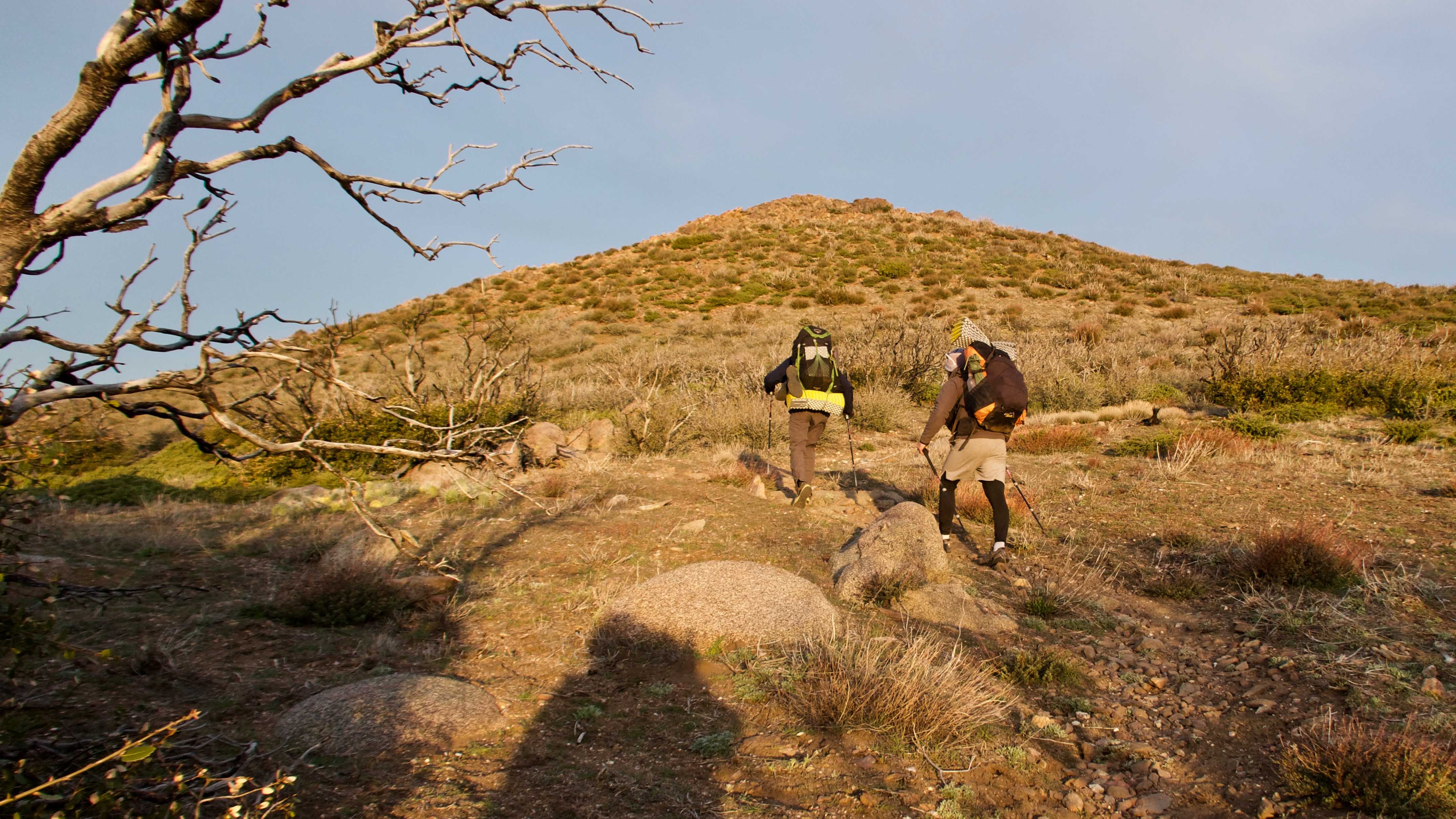 PCT 2019: Day 15 Fobes Ranch Trail Jct to Tentsite at Mile 176 4