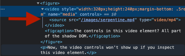 The dev tools not showing the video controls.