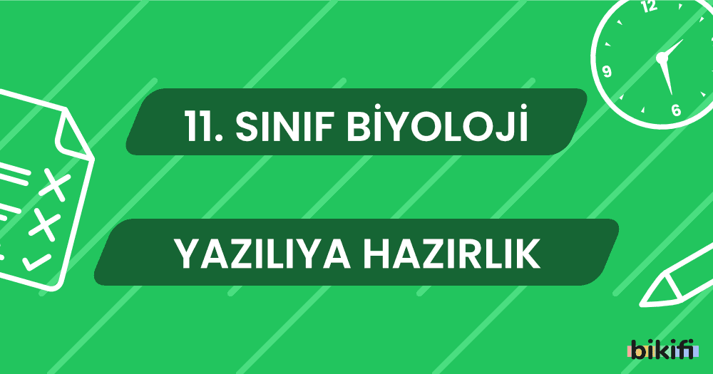 11. Sınıf Biyoloji: Yazılıya Hazırlık
