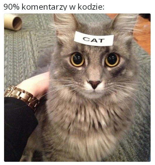 Cat with sticker that says 'Cat' on its forehead