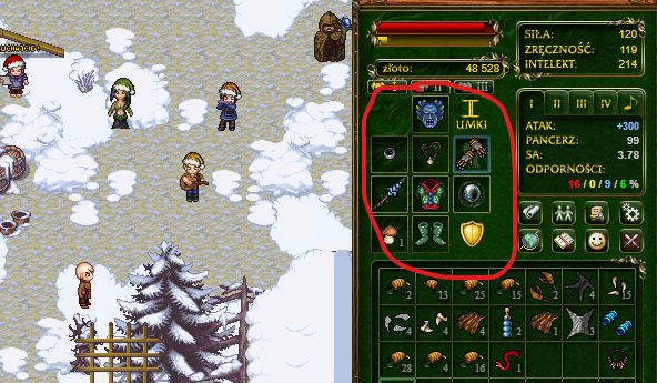 This is the Margonem game. Character equipment is in a red circle