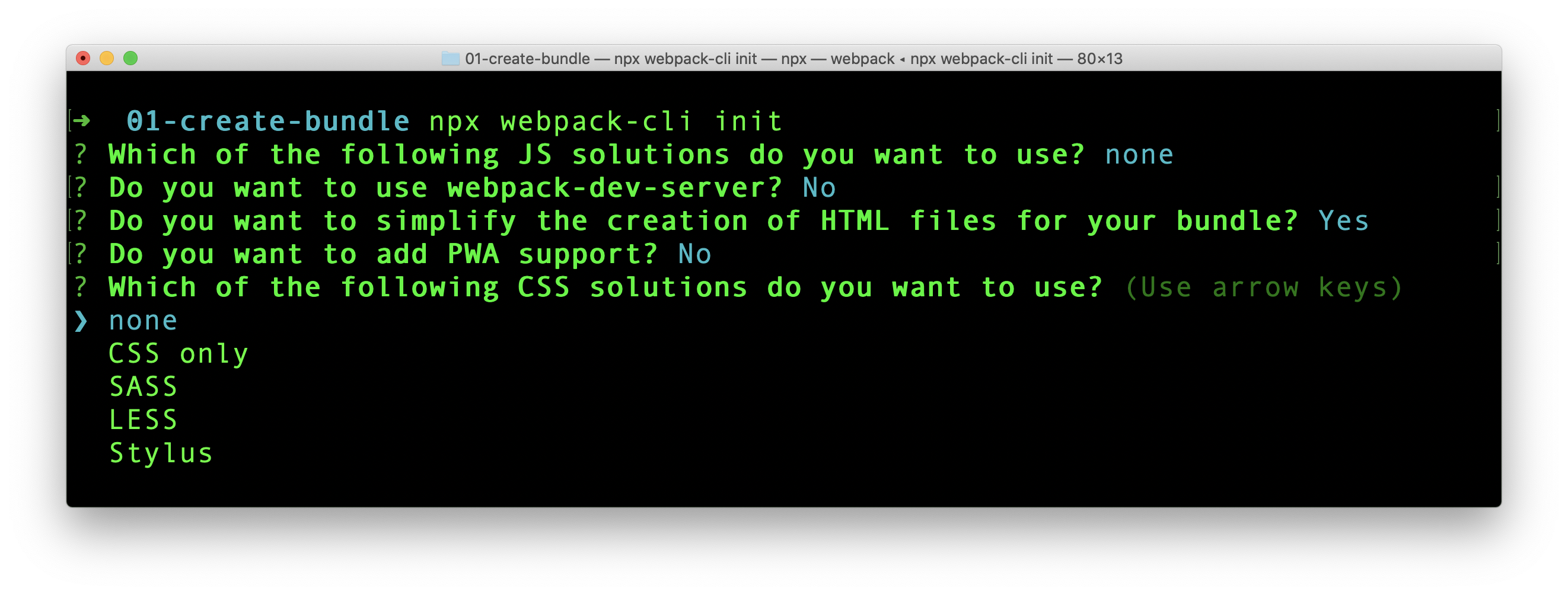 Webpack cli init