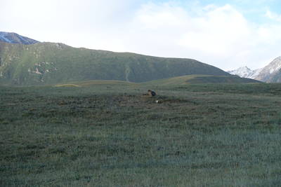 Ungefragter Weckdienst