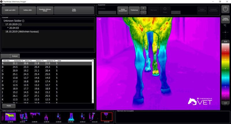 Vasen takajalka on selvästi muita jalkoja lämpimämpi. Kuva on TherMidas VETin diagnostiikkaohjelmistosta marraskuulta.