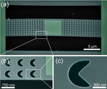 On the reduction and rectification of thermal conduction using phononic crystals with pacman-shaped holes