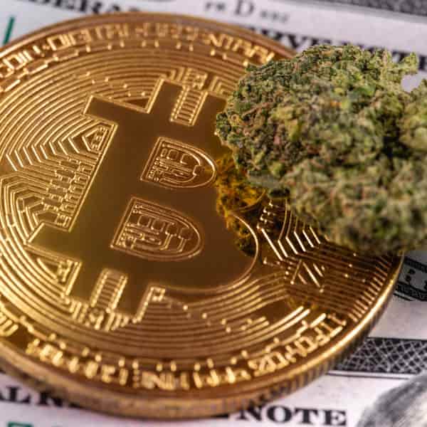 The Cost Of Weed Online: Australia's Exchange Of Crypto For Marijuana