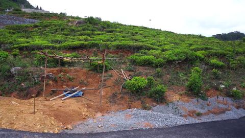 Overview of the plot