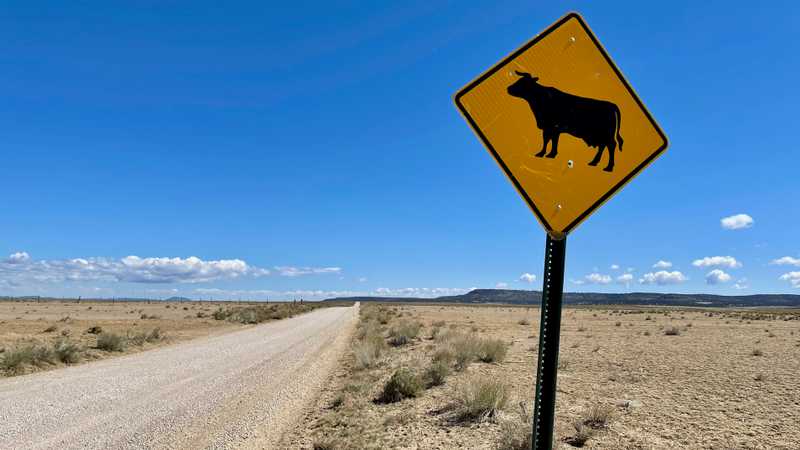 A sign warns of cattle in the area