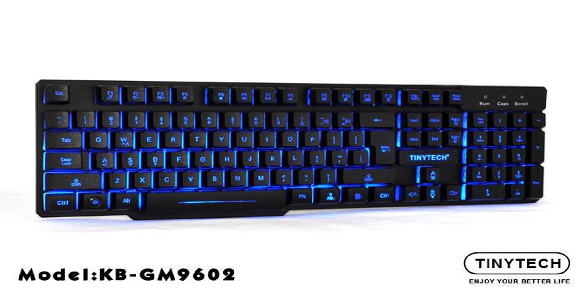 <h4>Tinytech Pro Gaming Keyboard GM-9602</h4>
