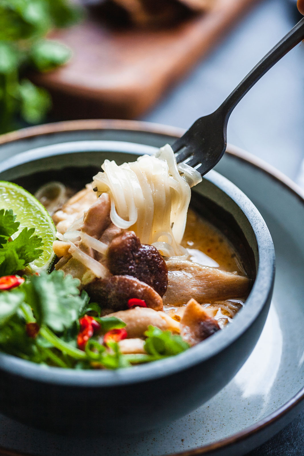 Thai Chicken Coconut And Noodles Soup