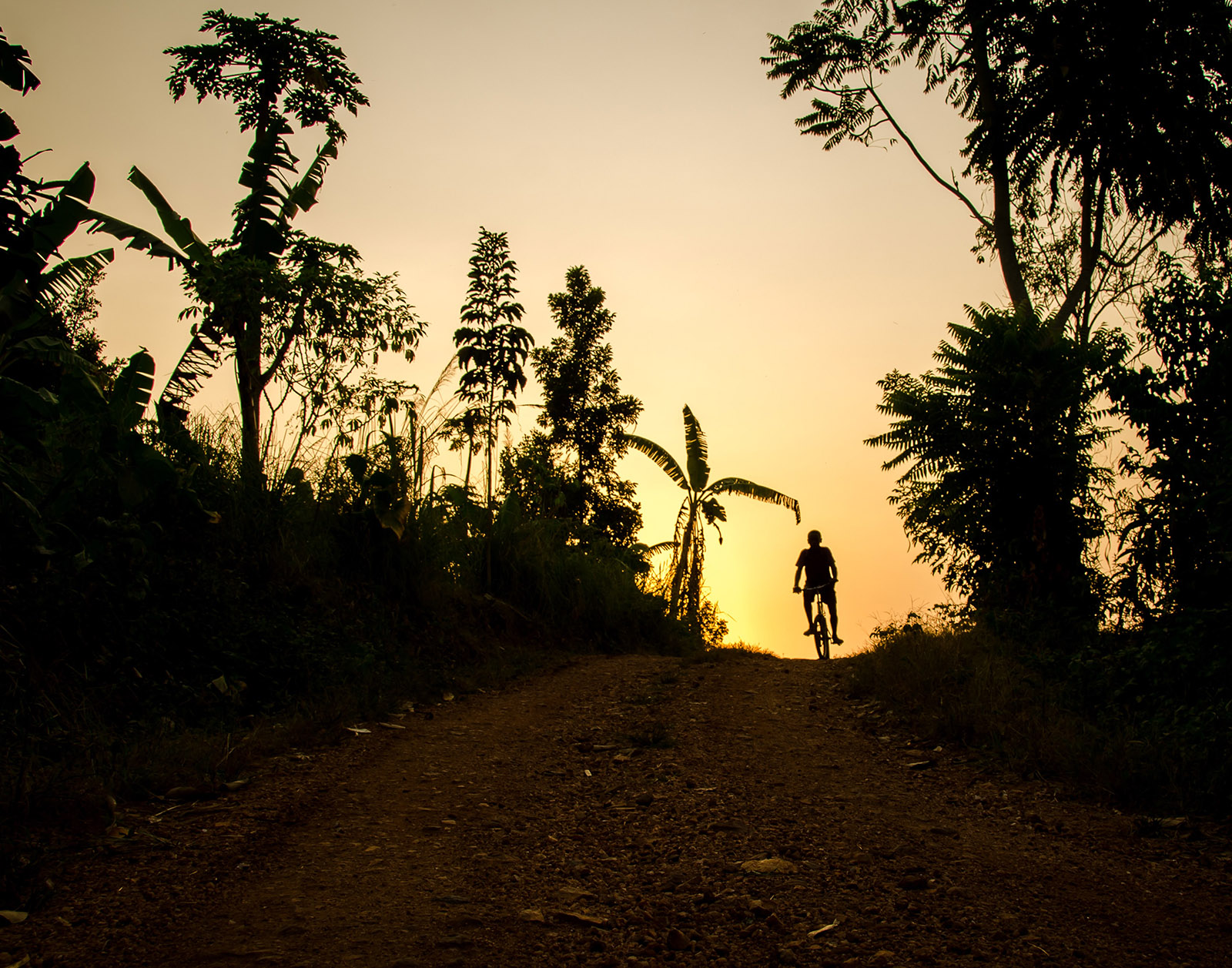 a boy rides his bike at sunset in uganda