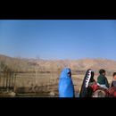 Central Afghan 13