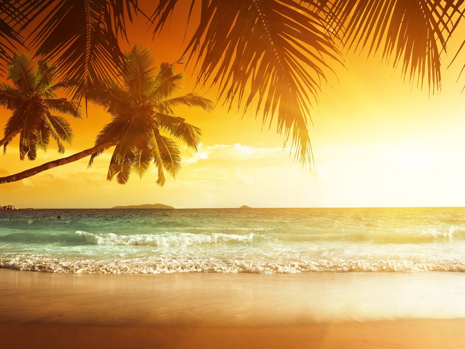 The Top Luxury Caribbean Villas for Winter Sun