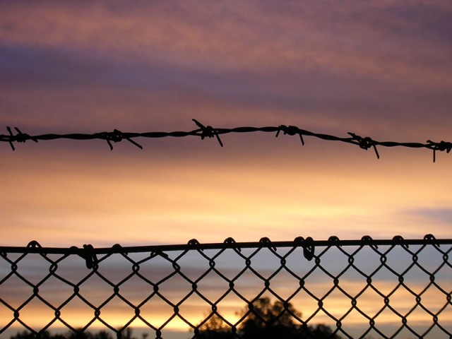Barbed_Wire_Future.sized.jpg