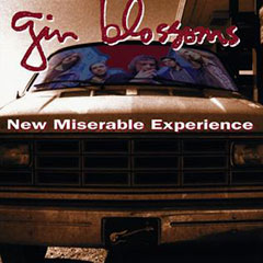 Gin Blossoms New Miserable Experience album cover