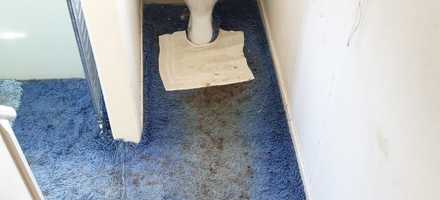 Human Waste Removal Stately Home – Essex