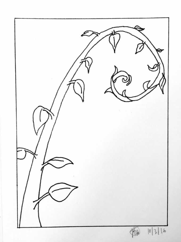 Inktober 2016 sketch of a golden spiral ivy plant