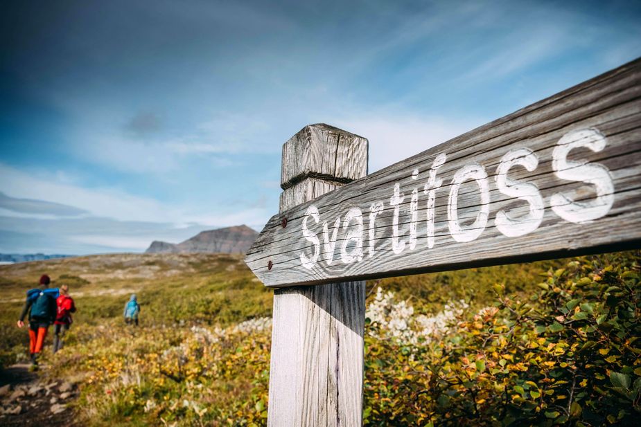 Wanderweg, Schild, Svartifoss, island