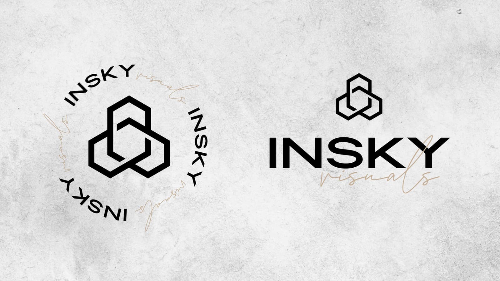 Insky Logo & alternative icon on a white slate background