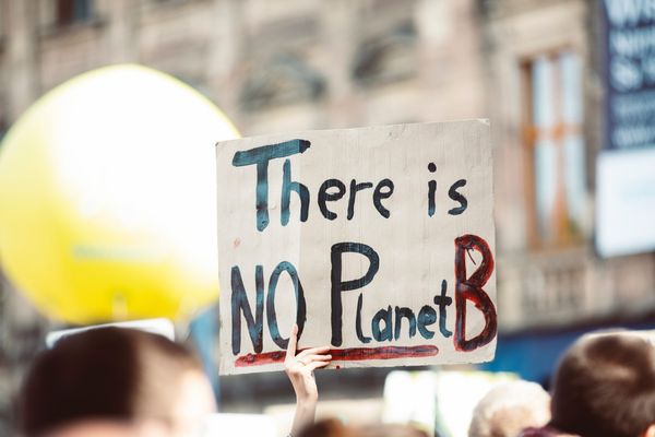 Hawkins Brown - Climate March - No Planet B
