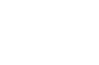 logo-deloitte-reverse