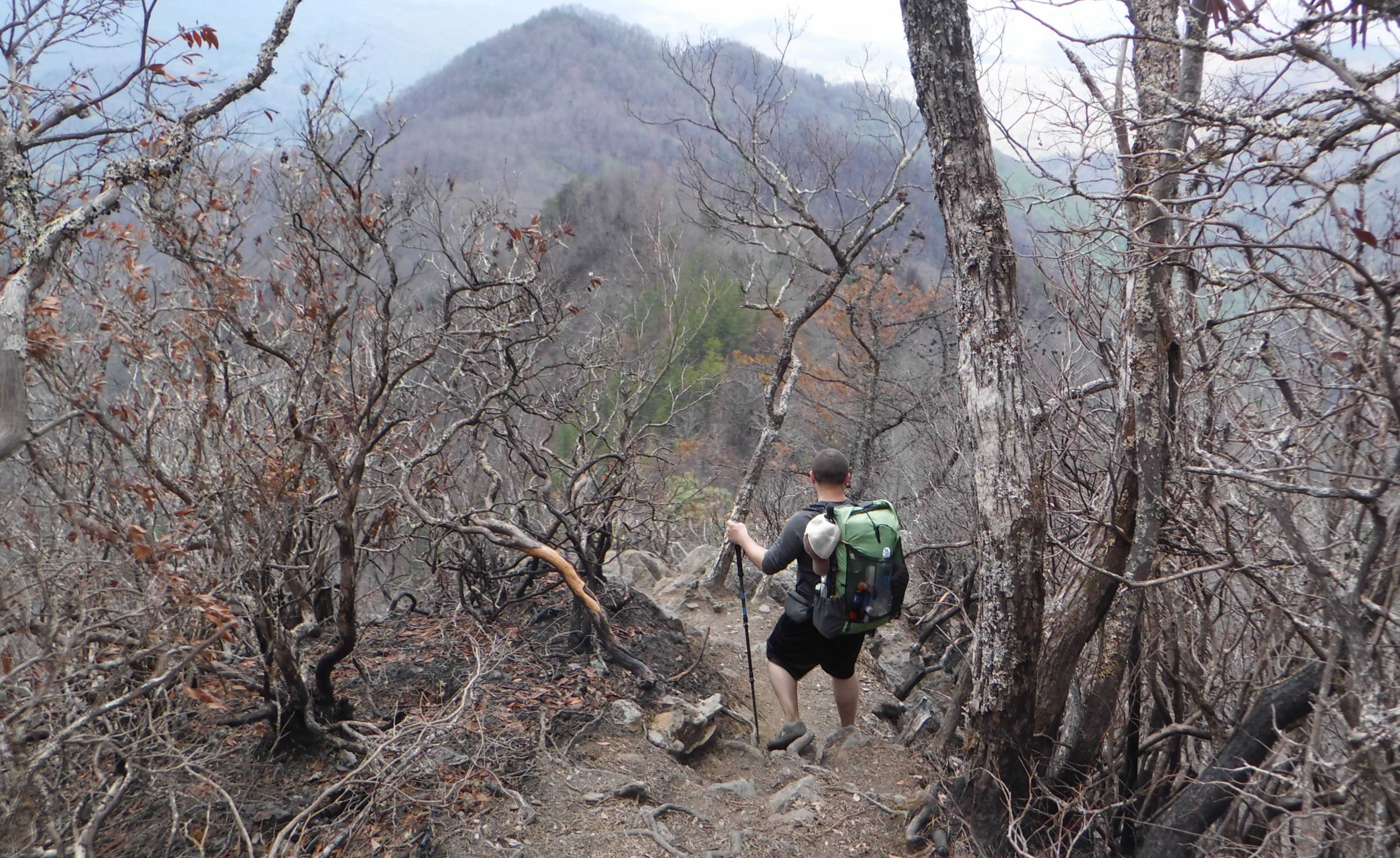 AT 2017 Day 12, Wayah Shelter to Rufus Shelter Hike with Gravity