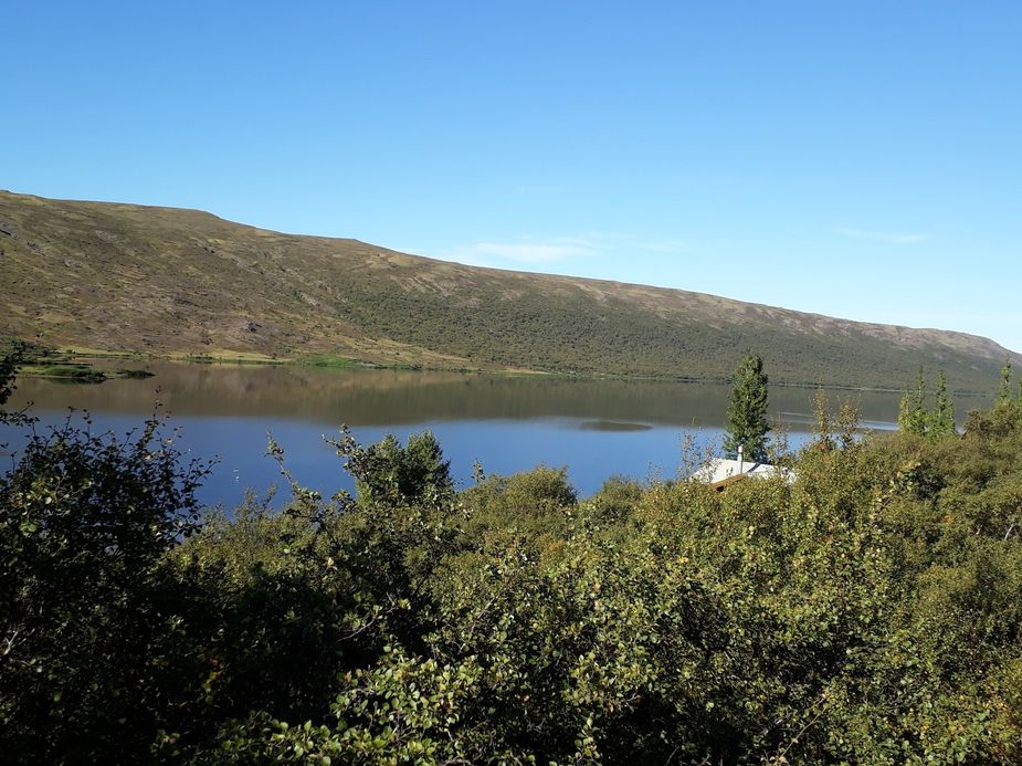 Das Ferienhaus am See Skorradalsvatn ist von Bäumen umgeben