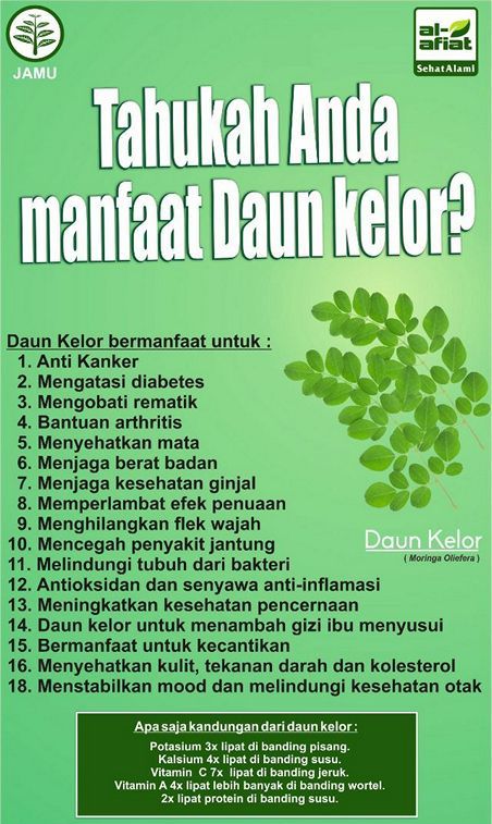 Daun Kelor AlAfiat