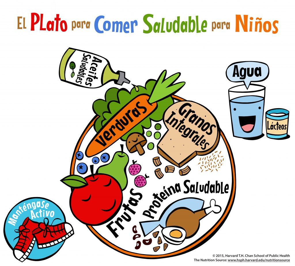 Plato de Harvard para niños Plato de Harvard para niños