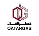 QATARGAS approved Duplex Steel Flange In Vadodara