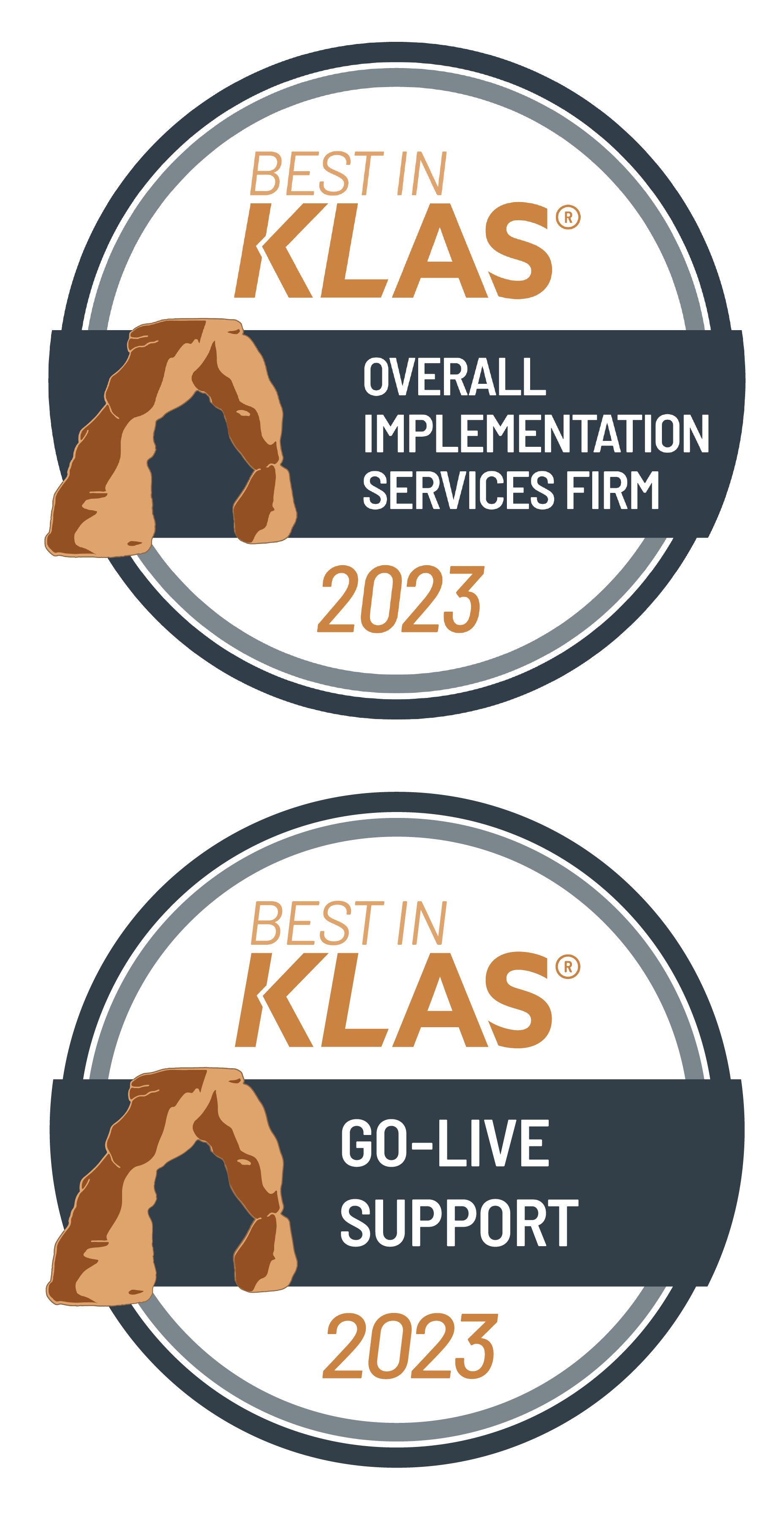 Best in Klas Overall Implementation Services Firm and Go-Live Support