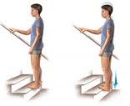 "Plantar