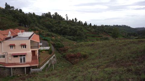 An Overview of Plot 12
