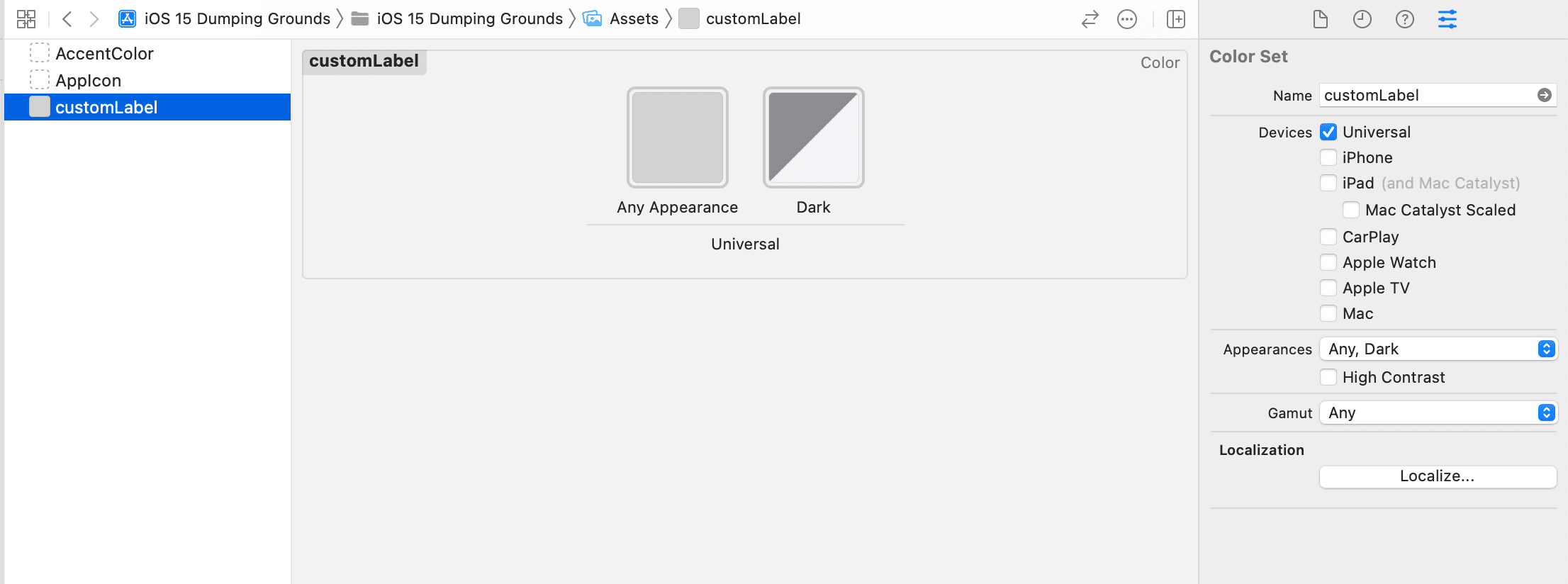 The color asset catalog in Xcode.