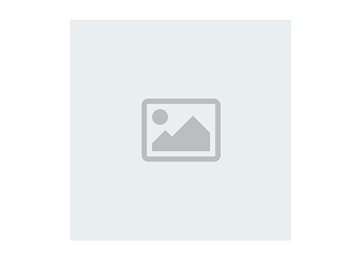 Logo Default