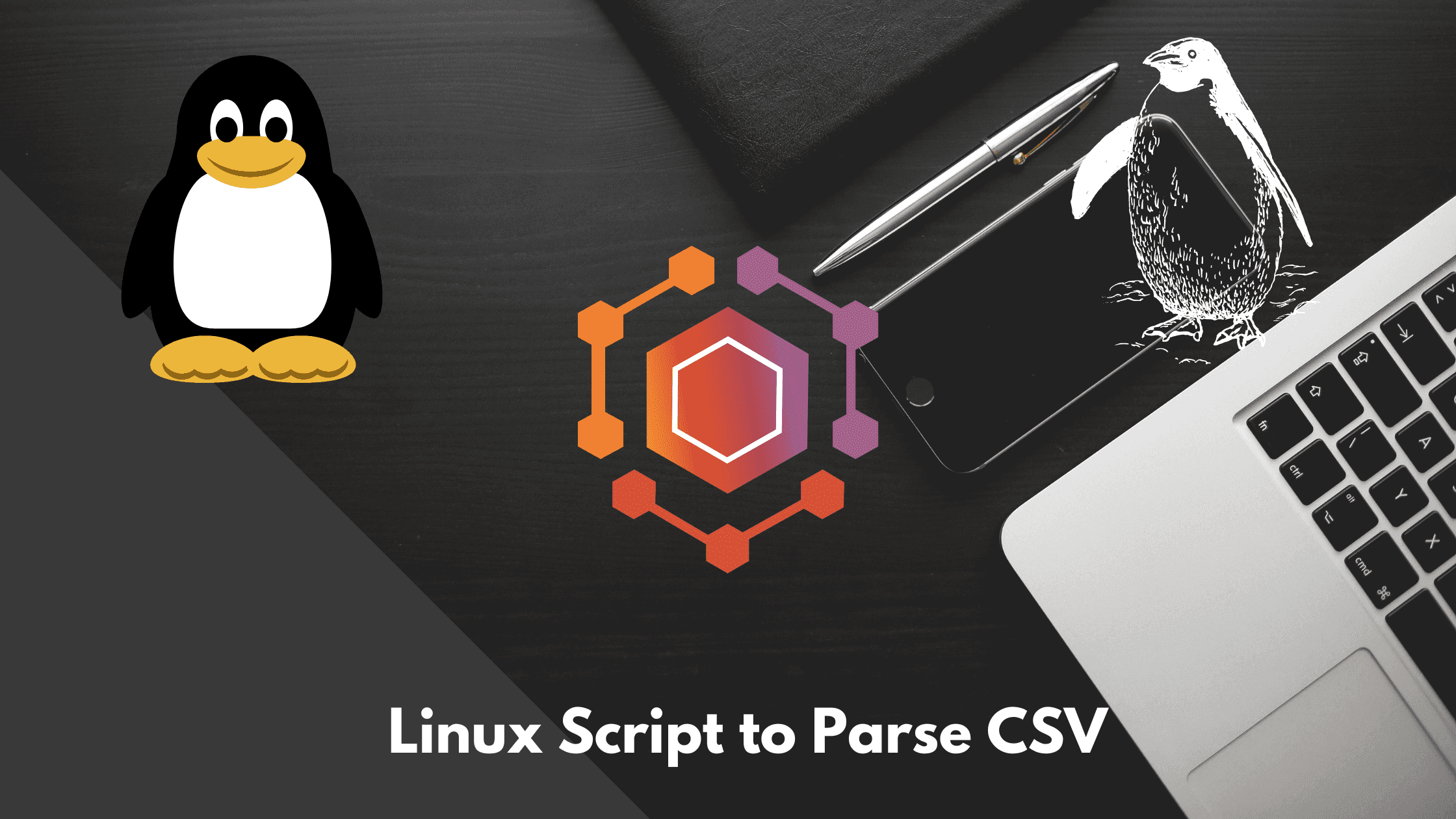 Shell Script to Parse CSV Files In Linux 