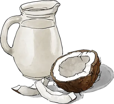 Illustration of Coconut milk