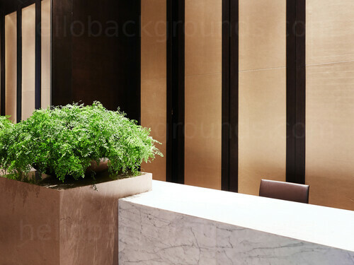Private office with simplistic lateral wall design and white marbled desk next to small plant feature  Skype background