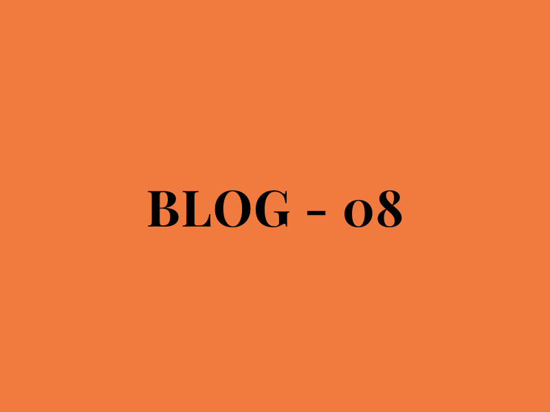 Blog Number 08